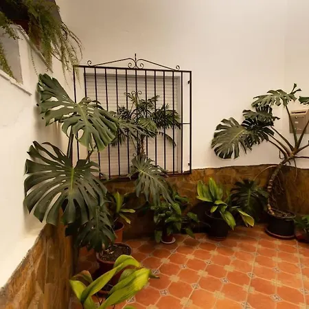 Apartamento Precioso Piso De 3 Dormitorios, Cocina Y 1 Baño